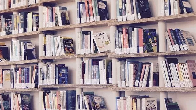 Muchos libros en una estantería grande