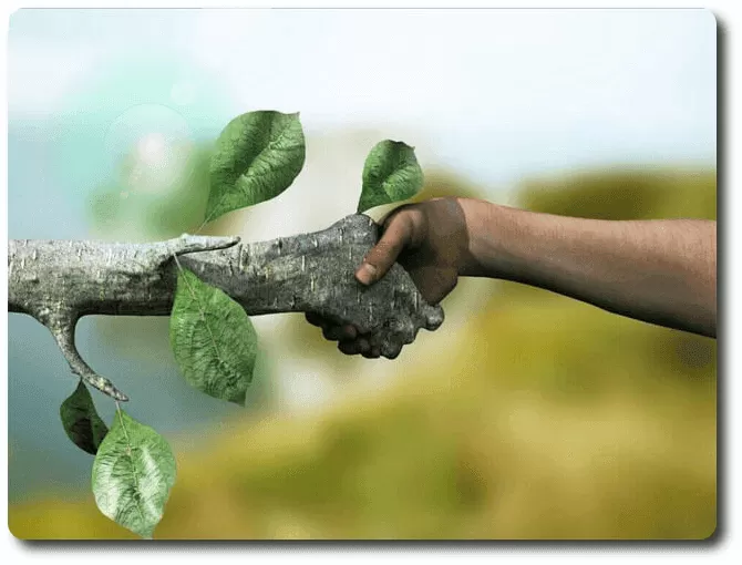 Educación ambiental, excursión docente