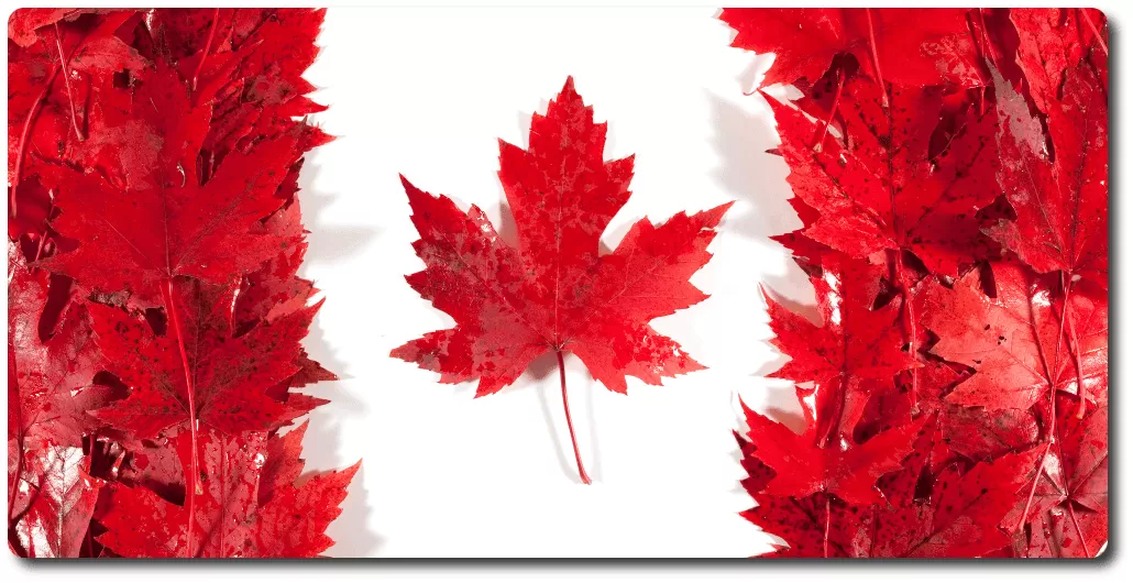 educacion en canada