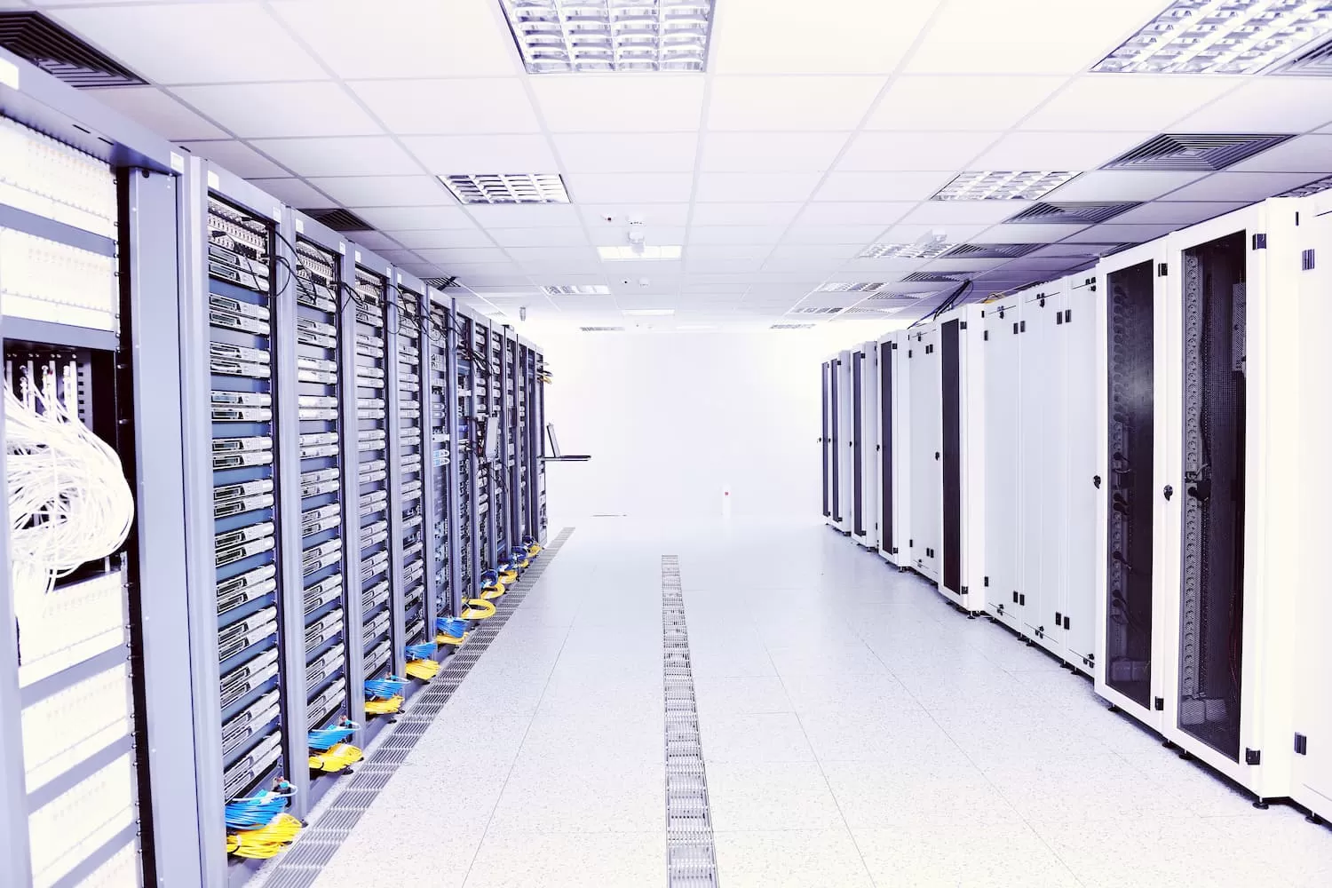 especialista en alojamiento de datos