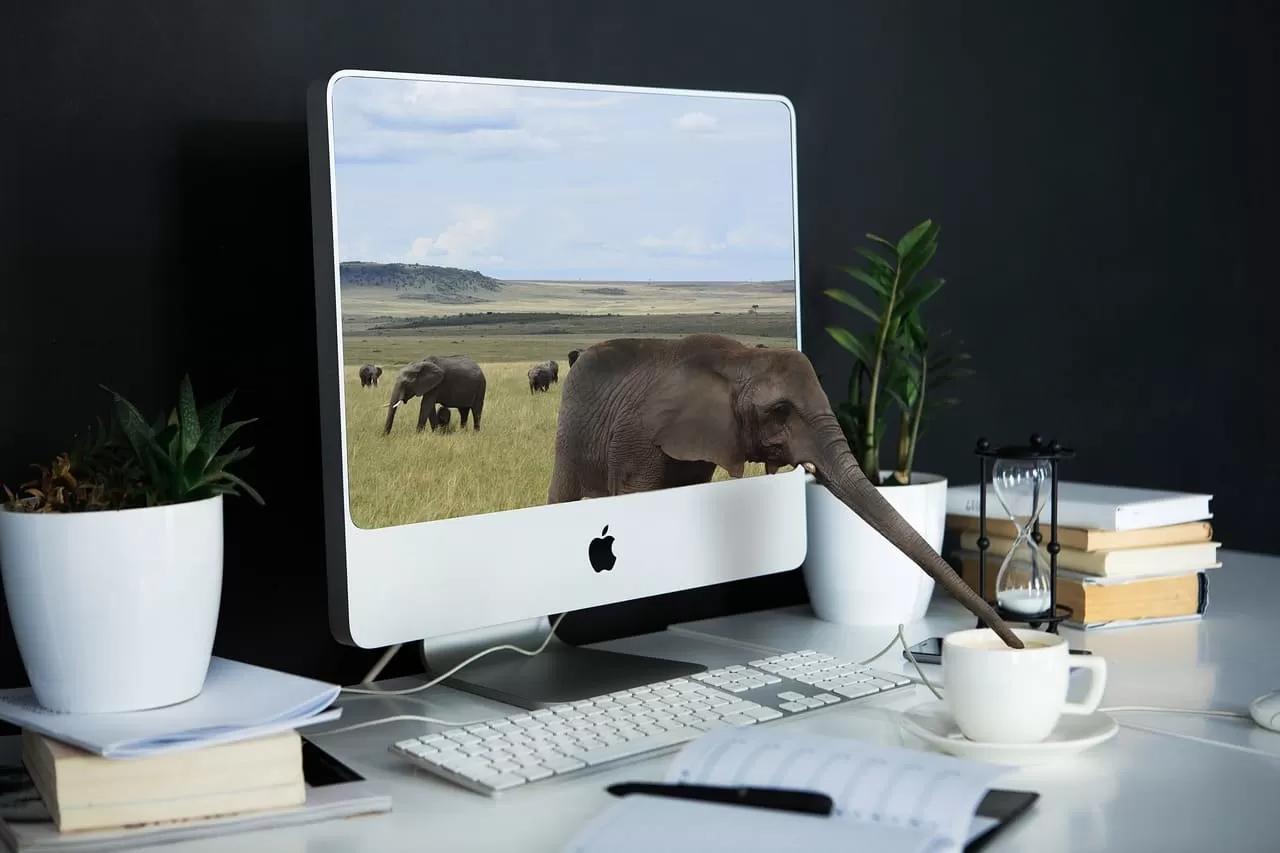 Máster en Diseño Tecnopedagógico e-Learning