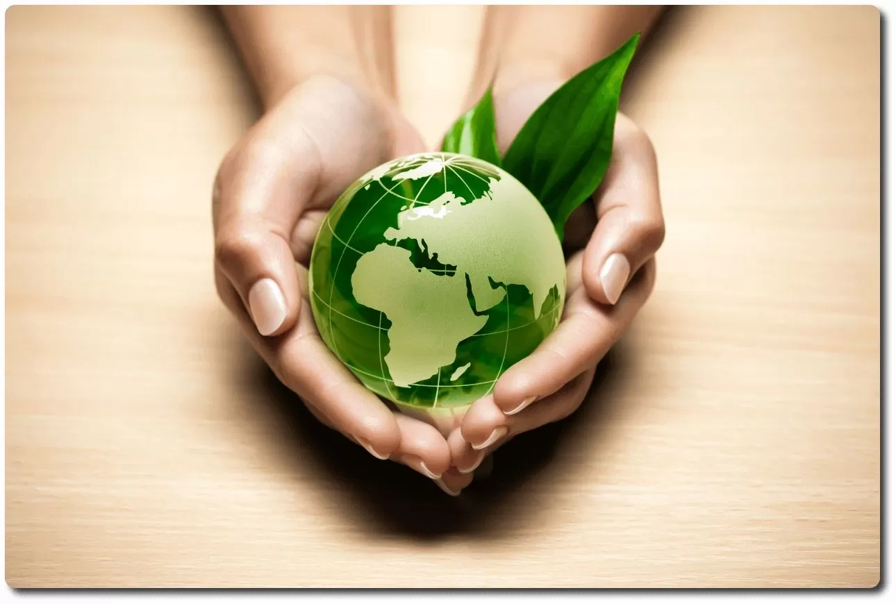 Cuidar el medio ambiente