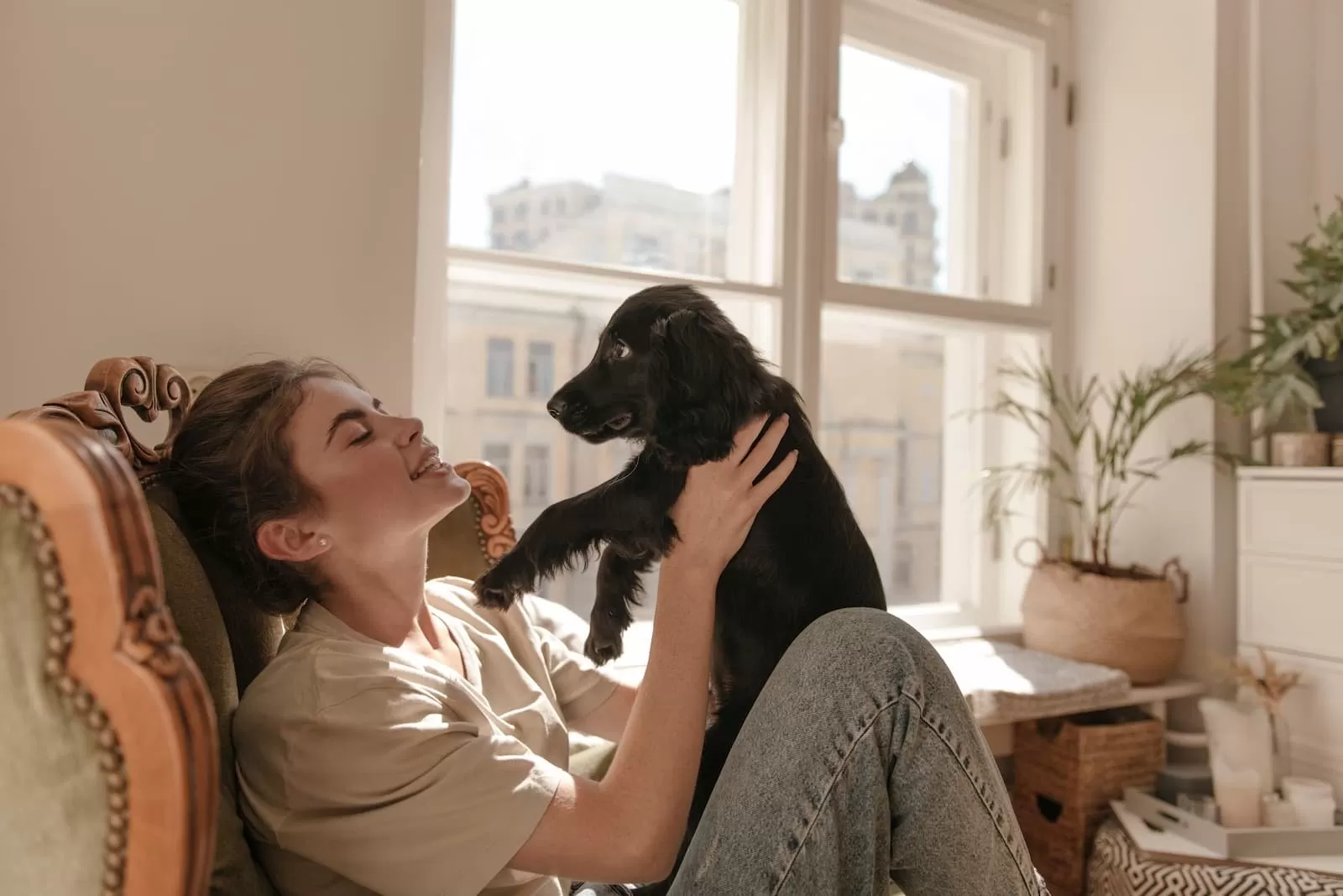 Educar en el respeto a los animales