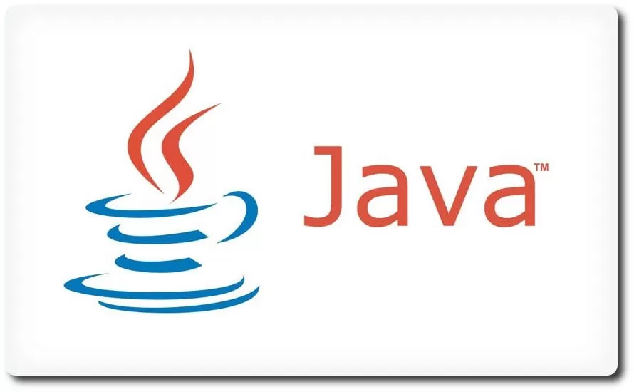 Programación en Java SE 6 desde cero