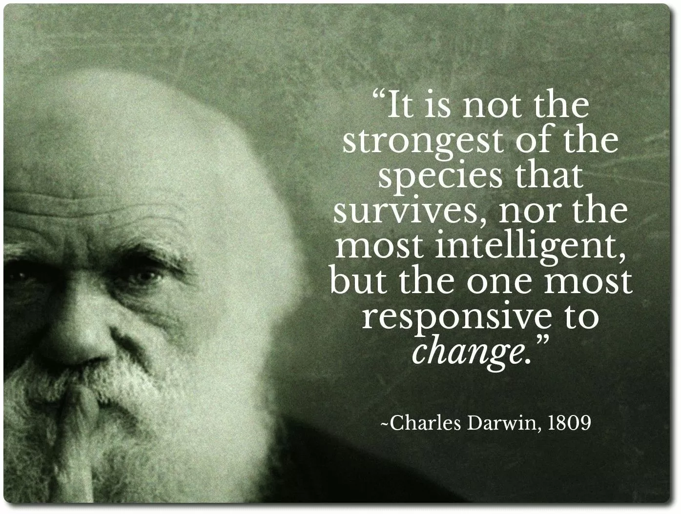 Charles Darwin Evolución