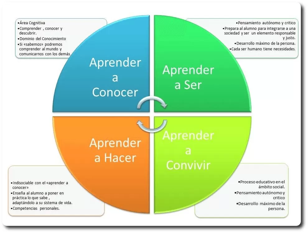 Los 4 pilares o funciones de la educación