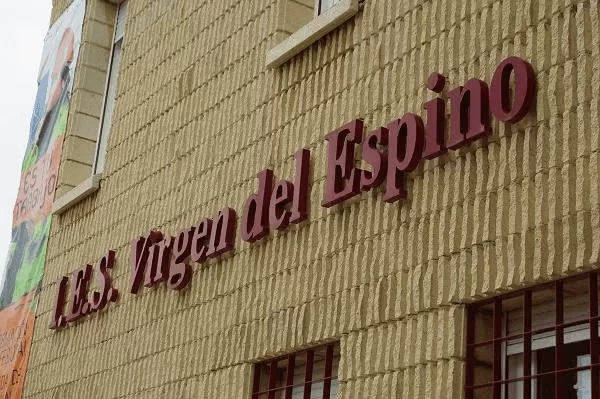 IES Virgen del Espino logo